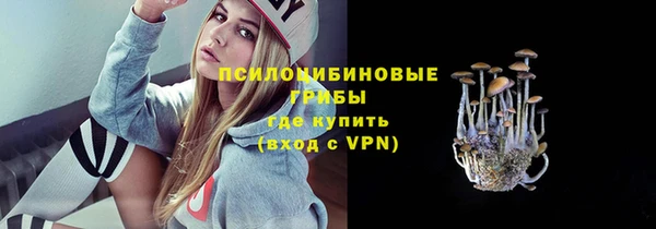 дурь Арсеньев
