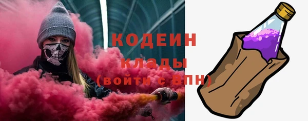 дурь Арсеньев