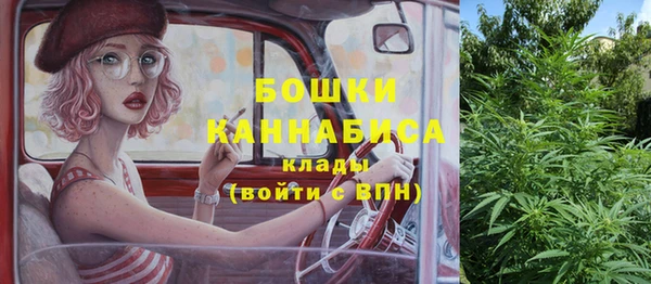 дурь Арсеньев