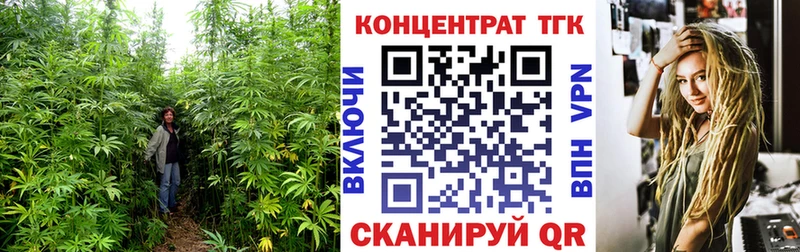 ОМГ ОМГ зеркало  даркнет наркотические препараты  ТГК Wax  Покровск 