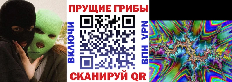 Псилоцибиновые грибы GOLDEN TEACHER  Покровск 